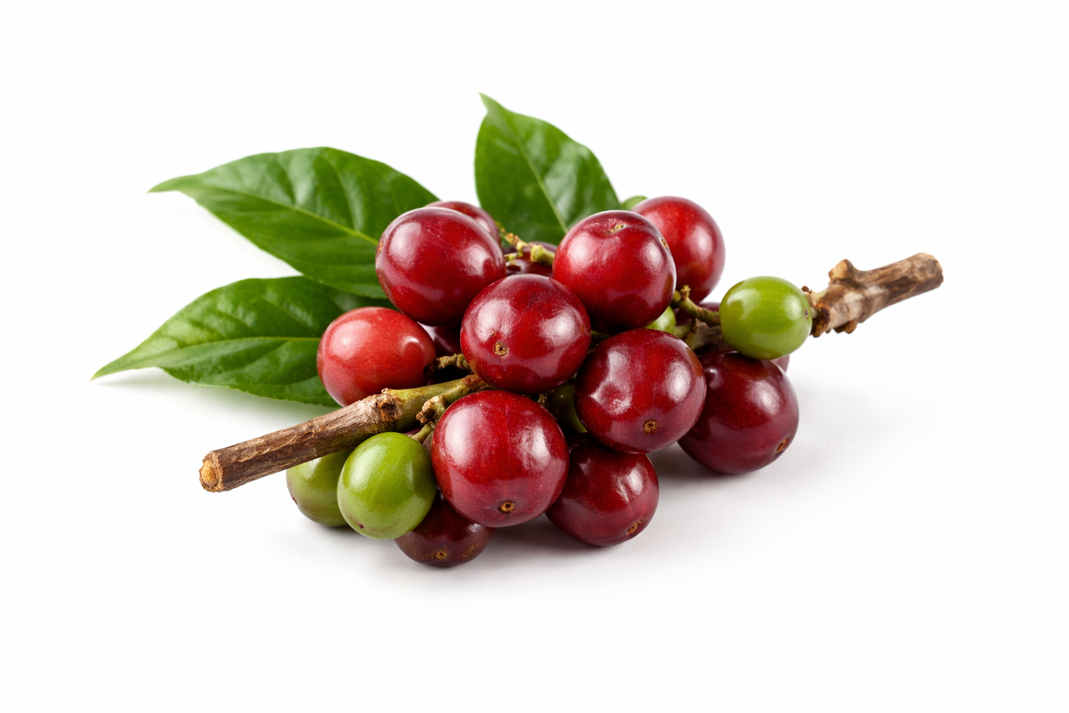 Single Origin Coffee